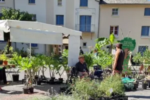 10ème Foire aux Plantes