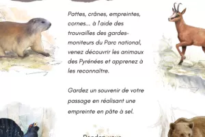 A la découverte de la faune pyrénéenne