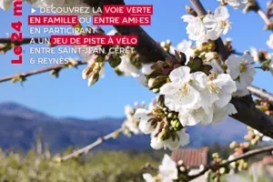 Venez à la Fête de la Cerise à vélo !