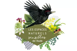 ENS - À L'ÉCOUTE DES ANIMAUX DE LA NUIT