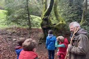 A l'assaut du Moussu ! Visite de la forêt du Beuvray réservée aux enfants.