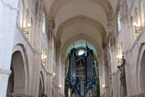 Parole de la pierre                                            
 les chapiteaux de la basilique Saint Andoche de Saulieu mis en lumière.