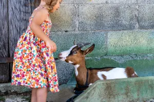 Visite active et pédagogique de la ferme Equi'libre