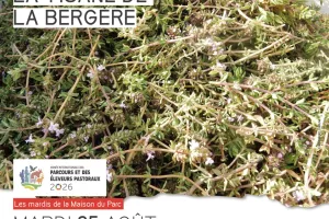 Atelier La tisane de la bergère