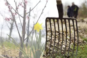 Créer et entretenir son jardin en permaculture