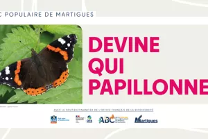 Atlas populaire de la Biodiversité Communale : "Devine qui papillonne"