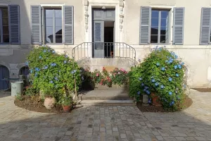 Visite du jardin de l'ancien tribunal de Tonnerre