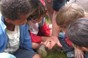 Atelier "Petites Bêtes"