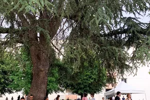 Fête du quartier et de l'école Gour de l'Arche