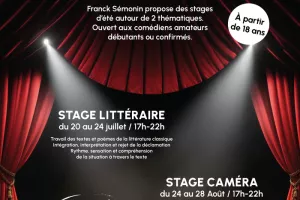Stage d'Art Dramatique