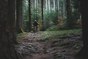 Le défi VTT - Bisca Mountain Bike