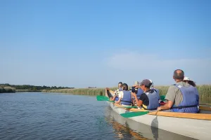 Balade sur le Delta de la Leyre en canoë collectif entre Biganos et Audenge