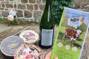 Goûter fromager
