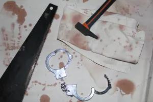 Escape game à Terres d'Oiseaux