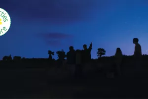 LES SORTIES NATURE : OBSERVATIONS NOCTURNES