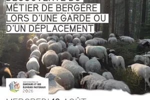 Apéro-pasto Conte à Vassivière : Découverte du métier de bergère