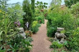 Visite libre du jardin