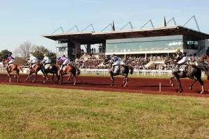 Visite secrète du Pôle du Cheval et de l'Âne et de l'hippodrome