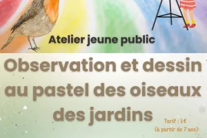 Atelier d'observation des oiseaux et de dessin crayons pastel