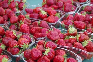 Marché de Producteurs - Savigny-Lévescault