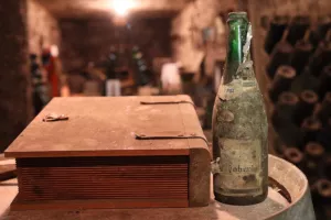 ESCAPE GAME "LE SECRET DE MES PÉPÉS"
