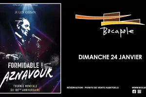 Spectacle - Formidable ! Aznavour