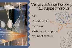 Visite guidée de l'exposition "la Vague irrésolue"