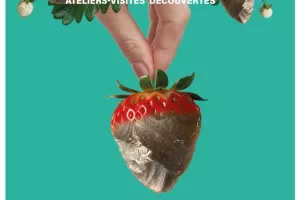 Vacances au Musée_Ateliers-visites découvertes