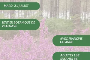 A la découverte des plantes sauvages, médicinales et comestibles avec Francine