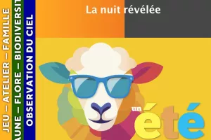 CÉVENNES - La nuit révélée
