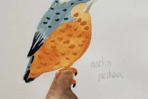 Exposition Oiseaux en couleur