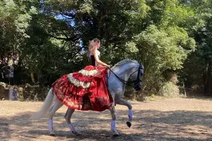 Spectacle équestre
