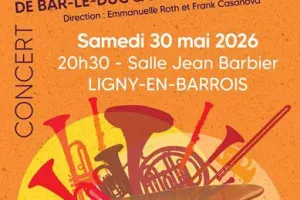 Concert des orchestres d'harmonie