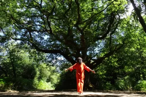 Stage de Qi Gong