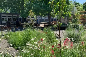Atelier Bombes à Graines