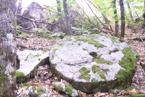 Visite commentée du sentier des meulières