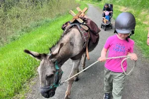 Jeu de piste à la découverte d'Uzerche avec les ânes