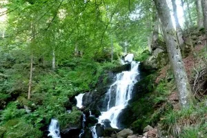 Sentiers Plaisir : Cascade, légendes et traditions