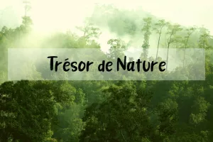 LES TRESORS DE LA NATURE