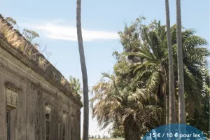 FÊTE INTERNATIONALE À THÈME : URUGUAY