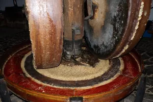 Visite et démonstration du moulin à huile
