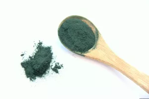 Conférence de Pierre Ancel : "La spiruline à l'origine de la vie"