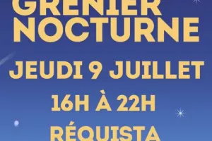 Vide grenier nocture à Réquista