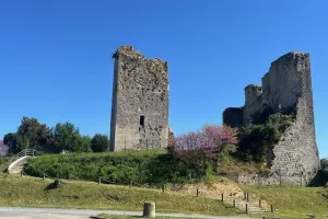 Conférence autour du château de Montgaillard