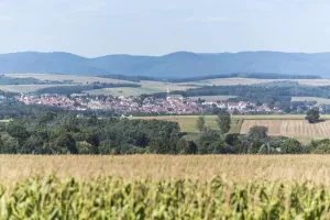 Balade à l'éveil de la nature