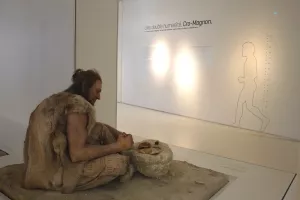 Colloque - Des parois de la caverne aux murs de la ville