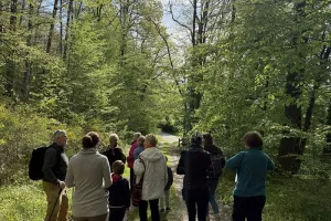 Raconte-moi la forêt