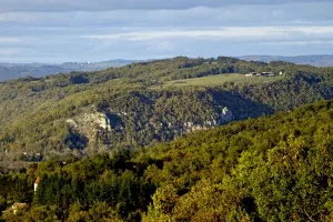 Pays d'Art et d'Histoire : Conférence - Quand les arbres dissimulent l’histoire : ce que le LIDAR révèle du Quercy