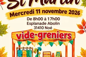 FOIRE ST MARTIN - VIDE GRENIER