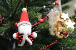 Décoration de Noël naturelle à Terres d'Oiseaux